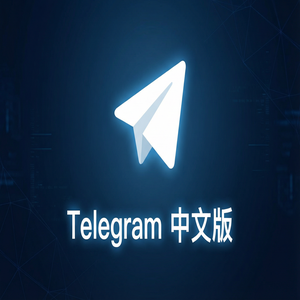 纸飞机中文版隐藏在线状态的详细设置方法（深度解析） - Telegram 官网